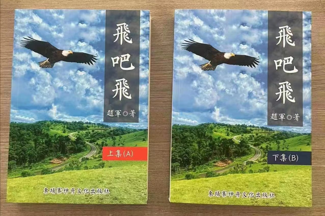 長篇小說《飛吧，飛》封面 （趙軍 著）