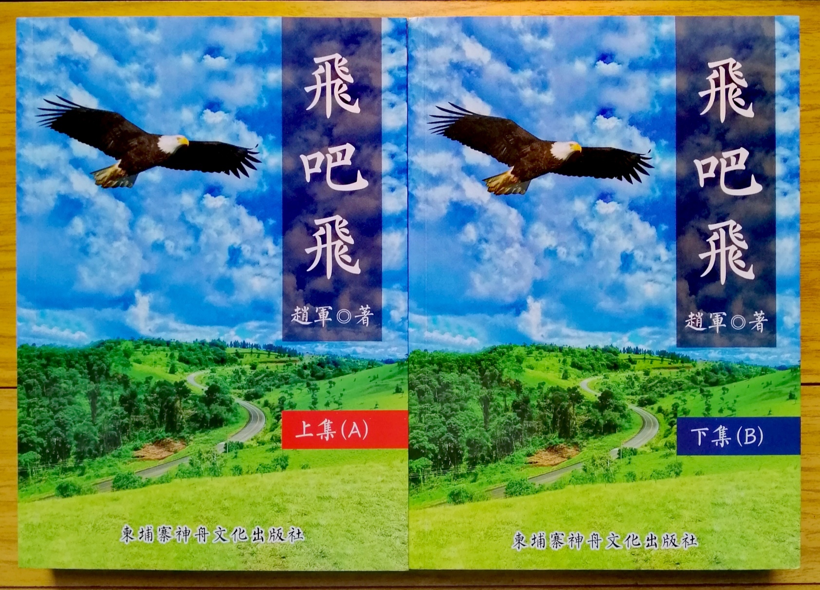長篇小說《飛吧,飛》封面(趙軍 著) 長篇小說《飛吧,飛》封面(趙軍 著)
