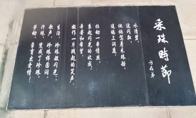 圖片5