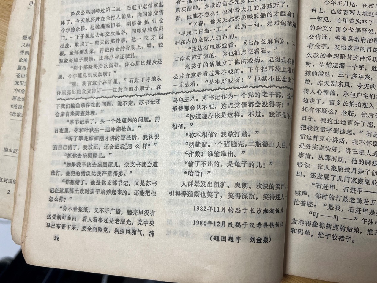 圖片7