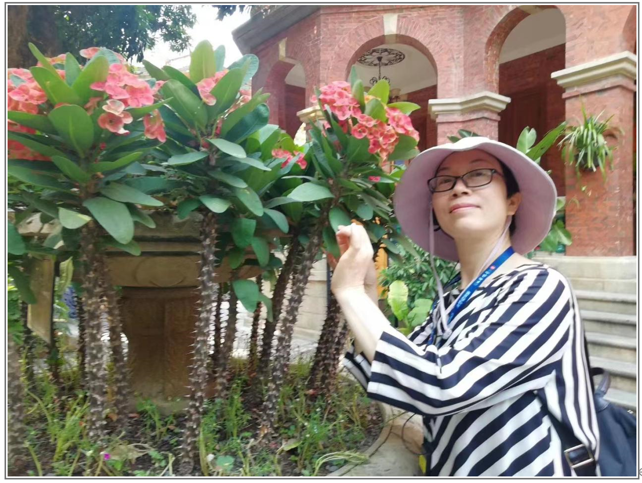 QQ截圖20240126180206