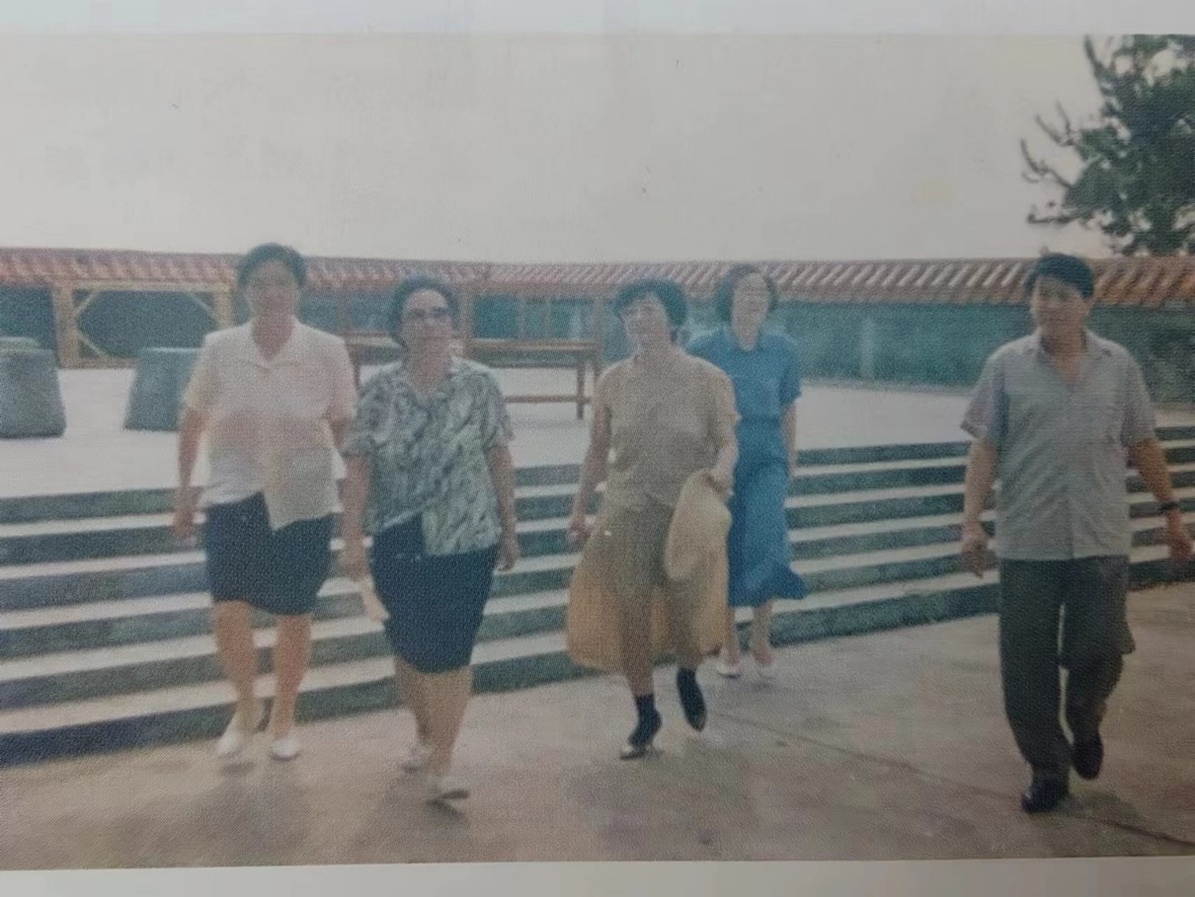圖片13