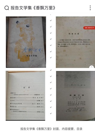 圖片10