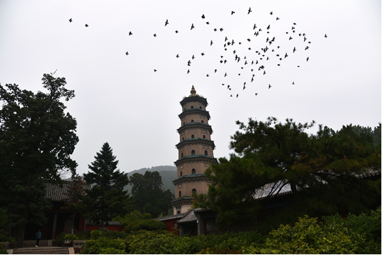 圖片10