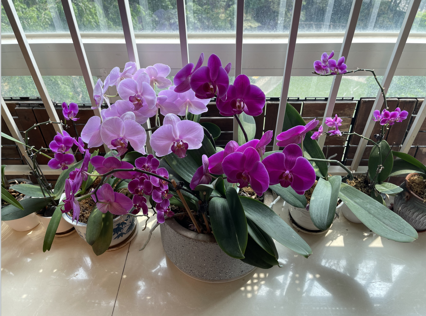 QQ截圖20240506142536