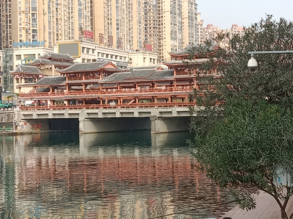 圖片7