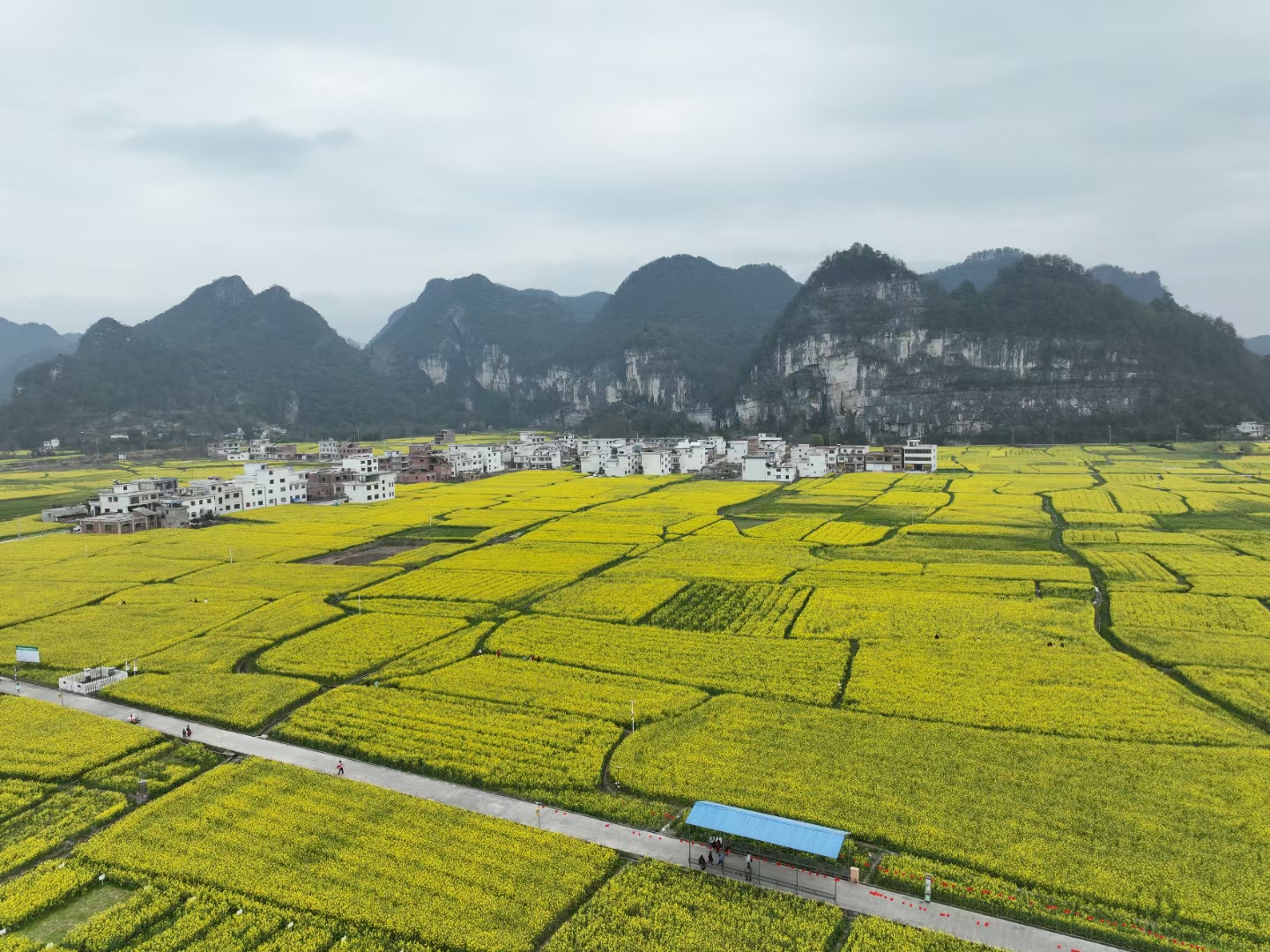 金海石山凱口春景