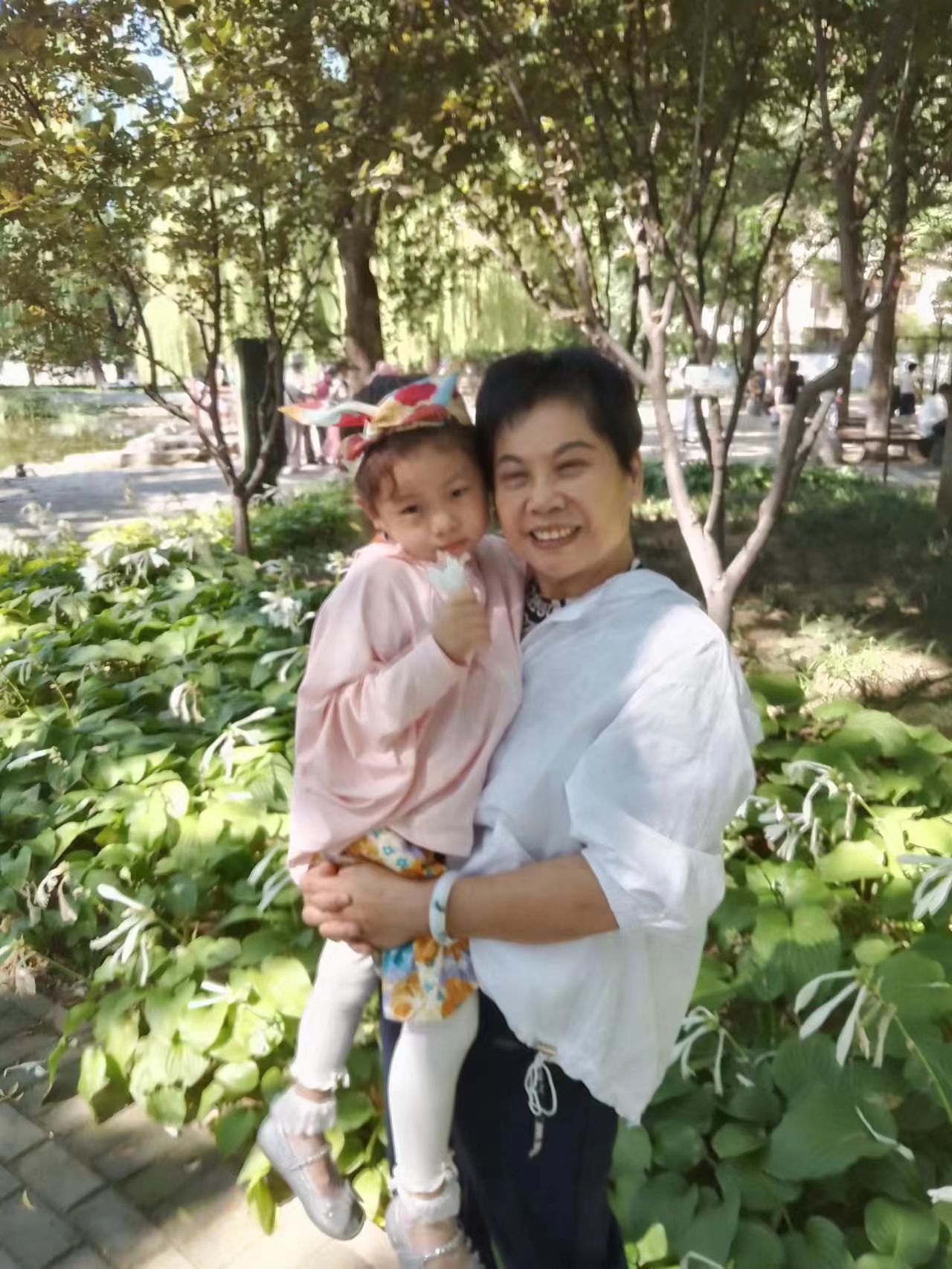 抱孫照