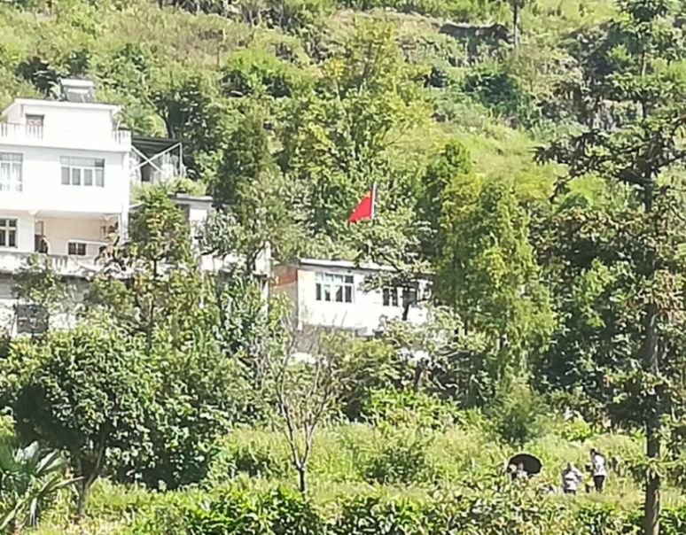 圖片3