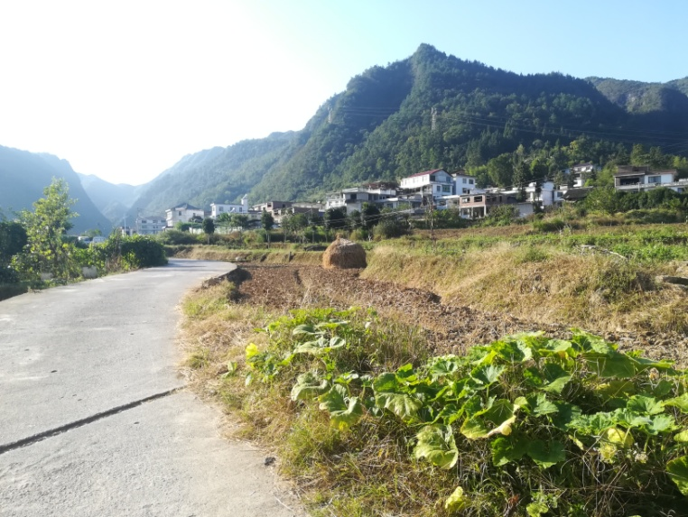 圖片4