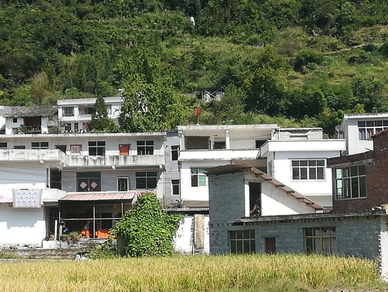 圖片5
