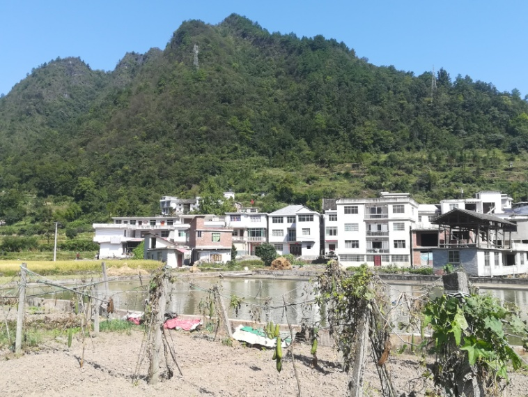 圖片6