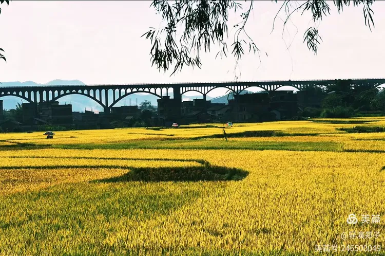 圖片1