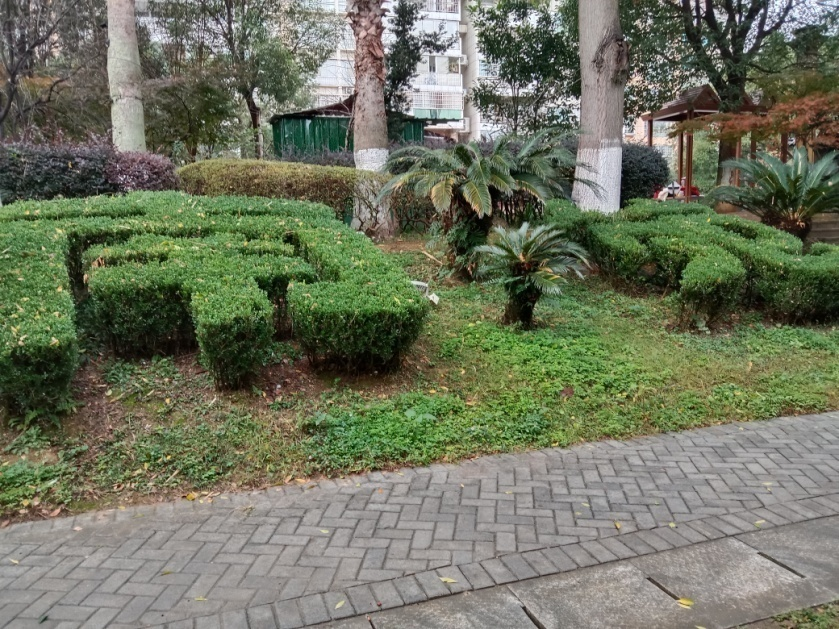 圖片6