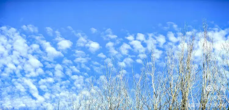 圖片9