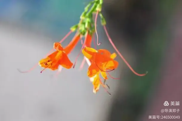 圖片1