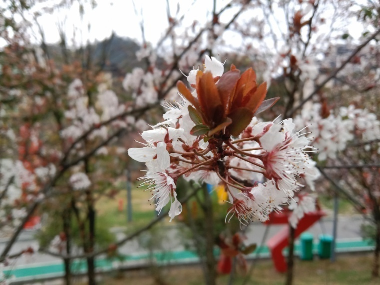 圖片4