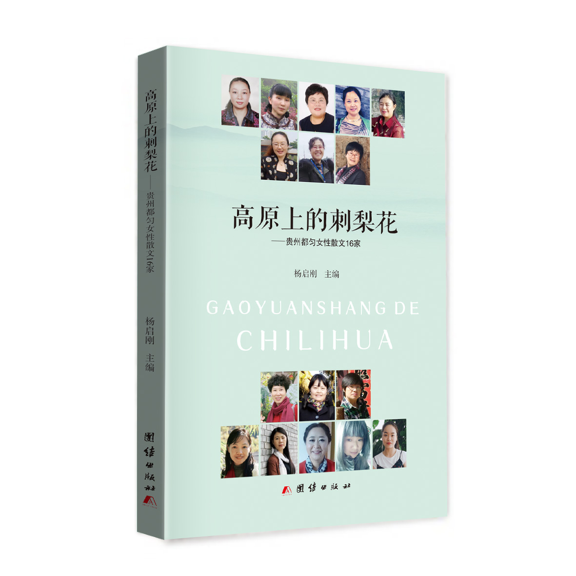 散文集《高原上的刺梨花——貴州都勻女性散文16家》封面