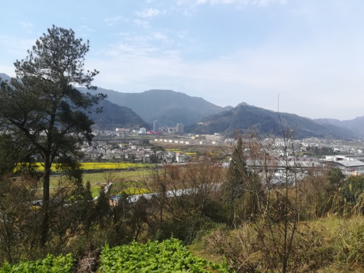 圖片2