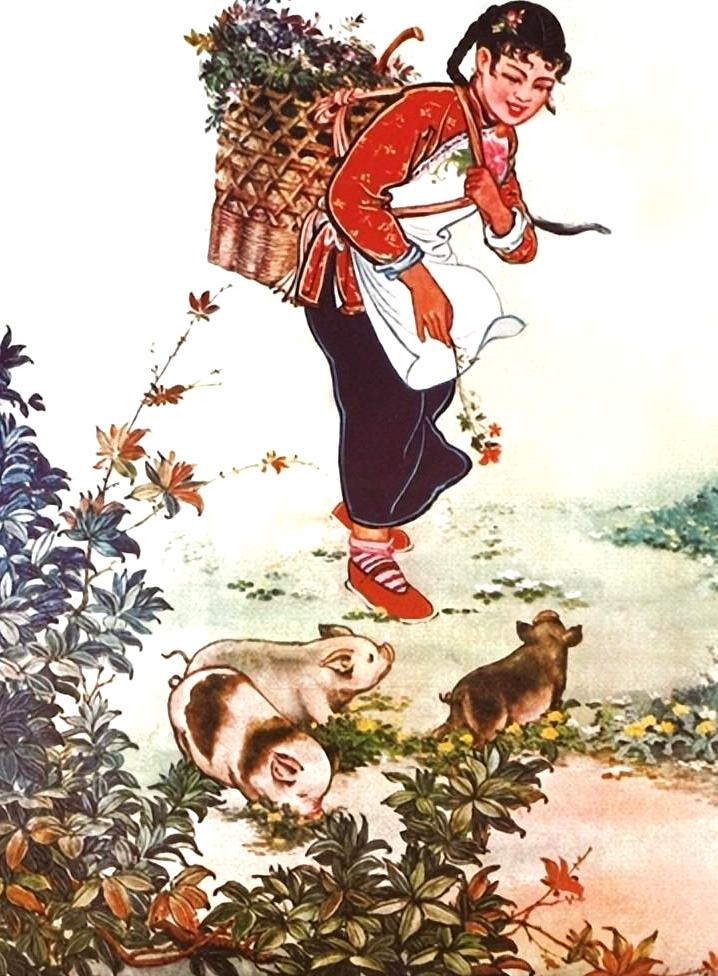圖片6