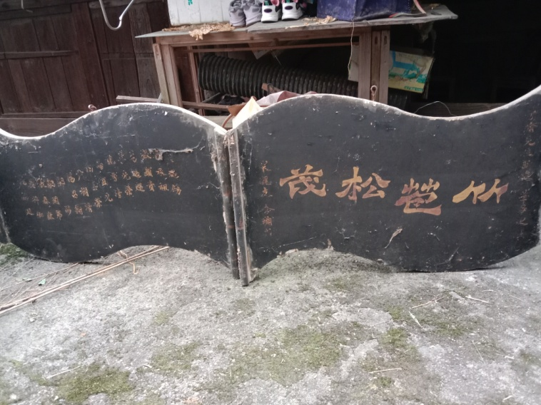 圖片19