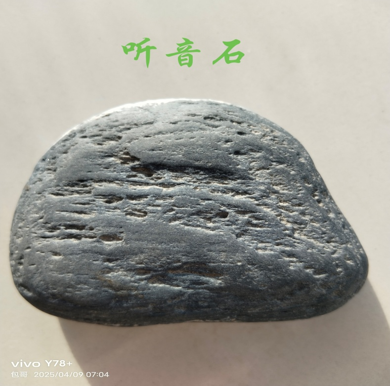 圖片1