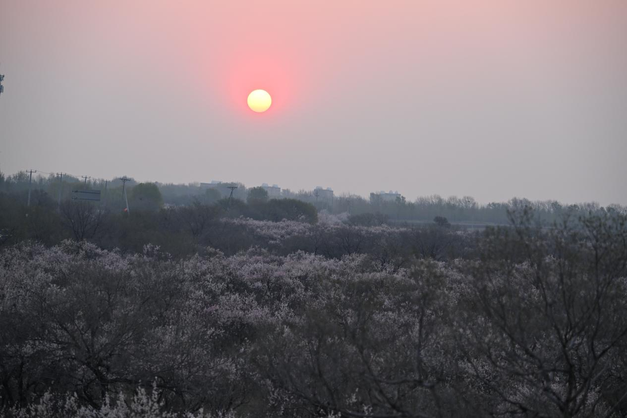 圖片2
