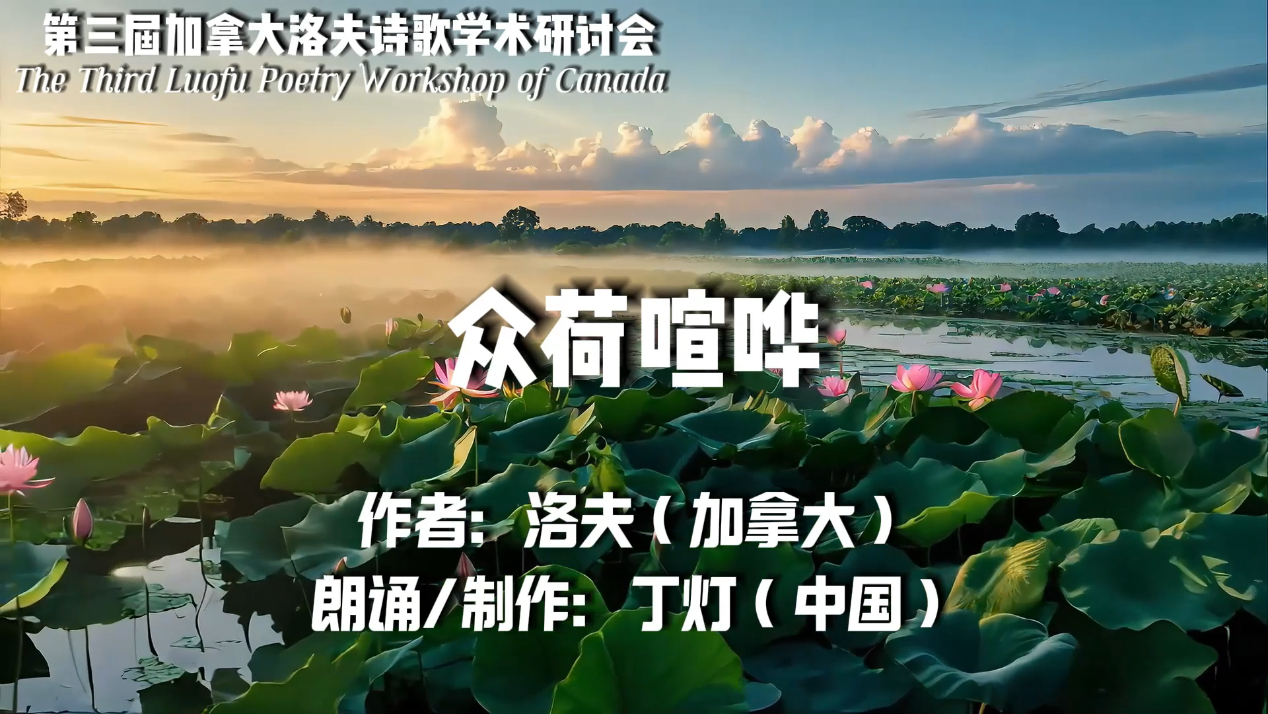 圖片5