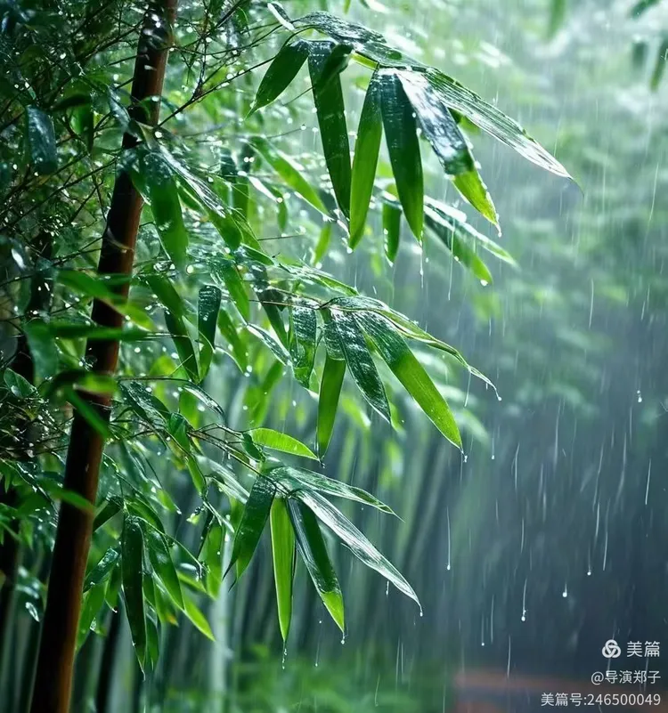 圖片8