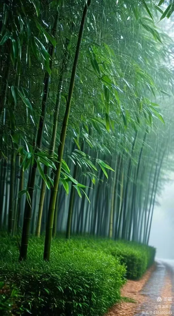 圖片10