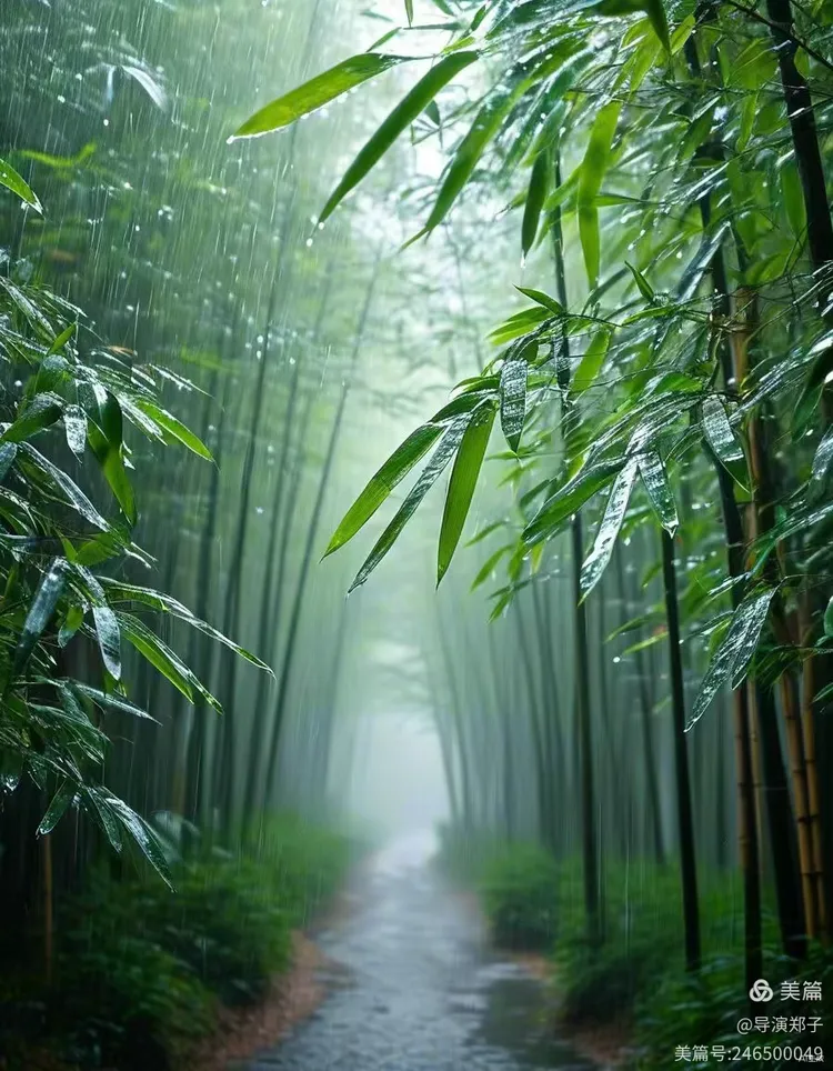 圖片11