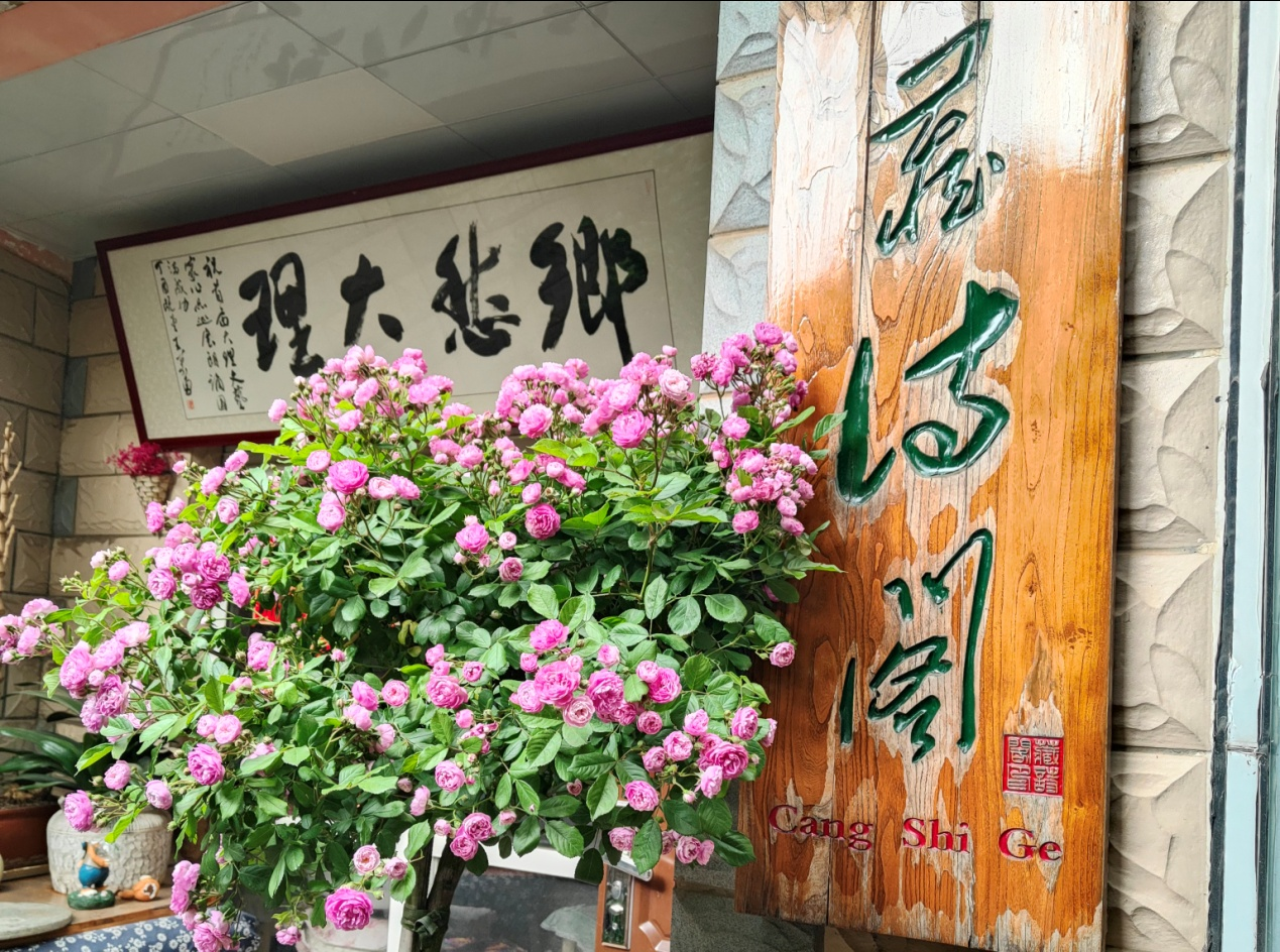 圖片1