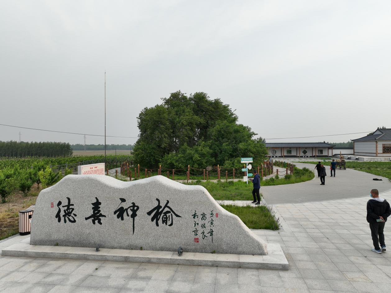 圖片7