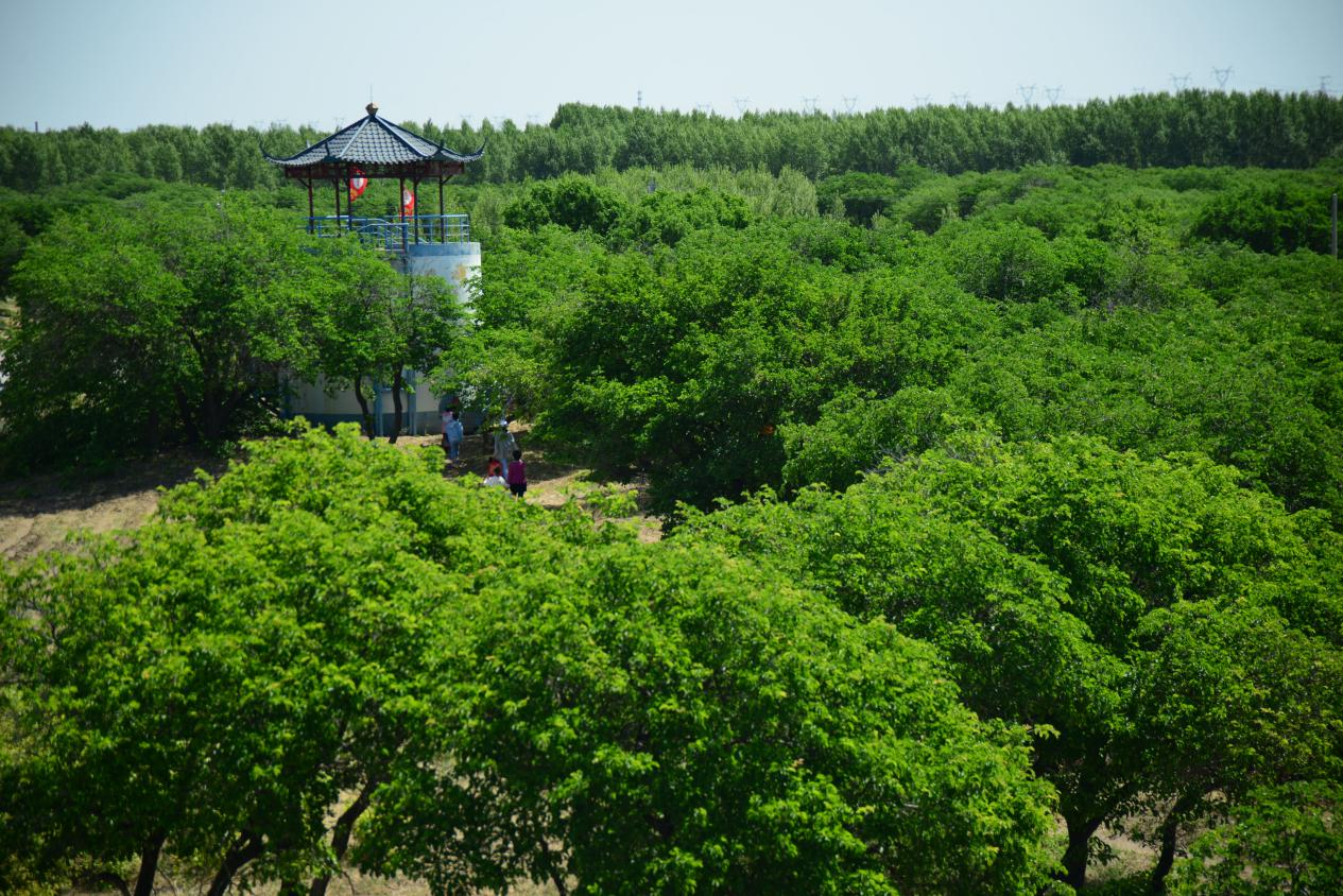 圖片2