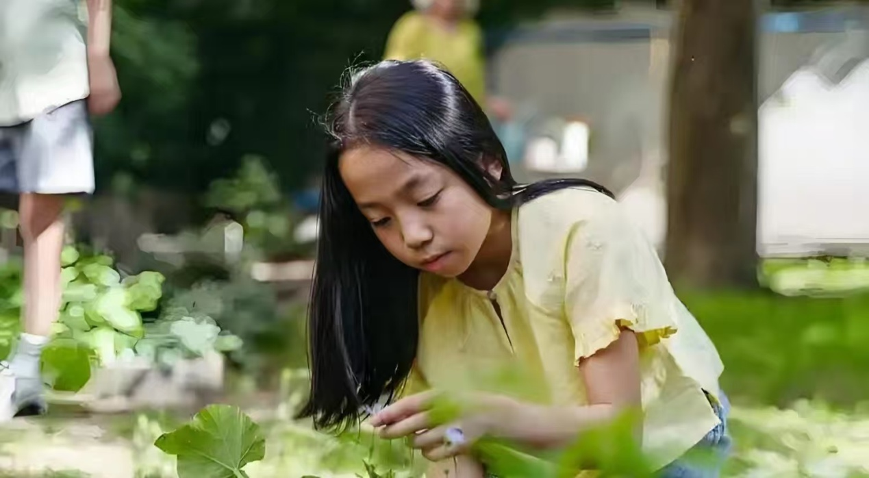 圖片5