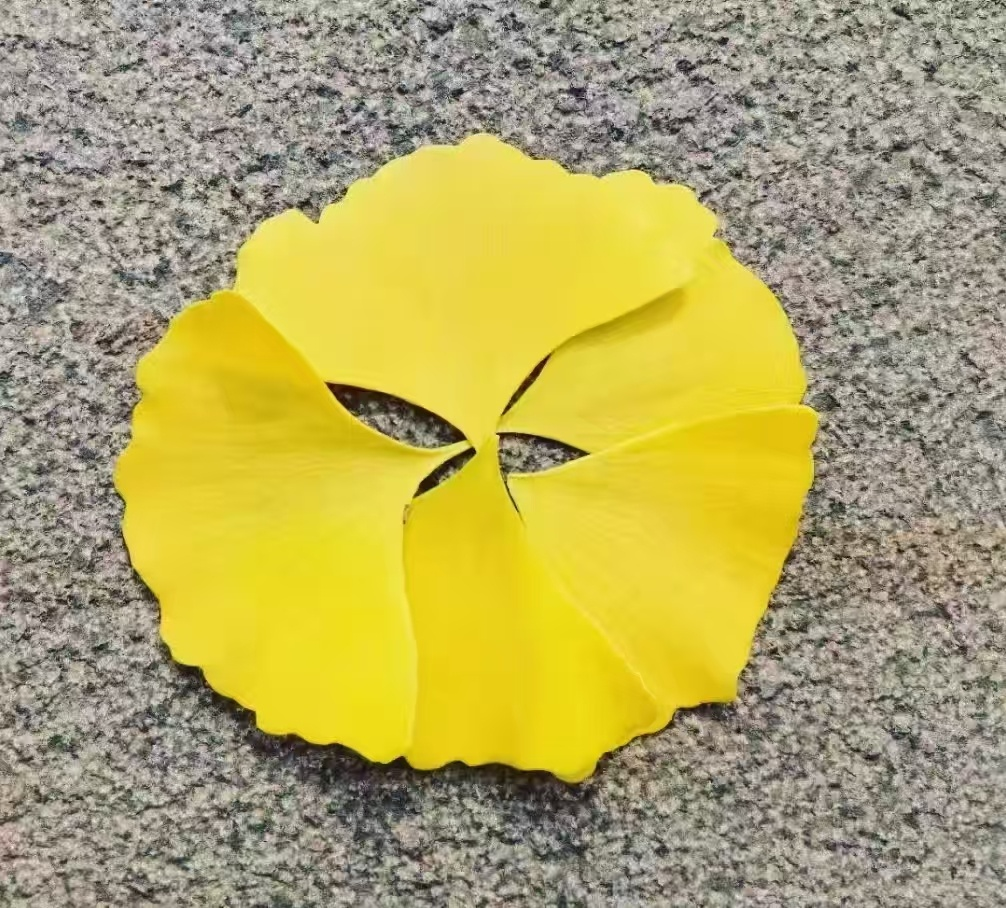 圖片1