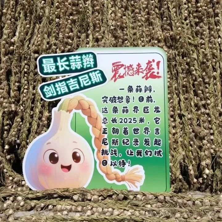 圖片13