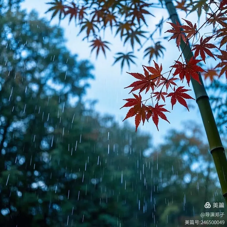 圖片4