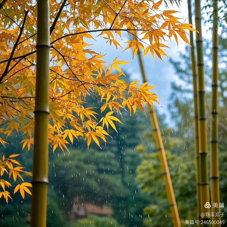 圖片12