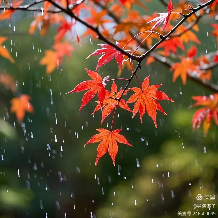圖片23