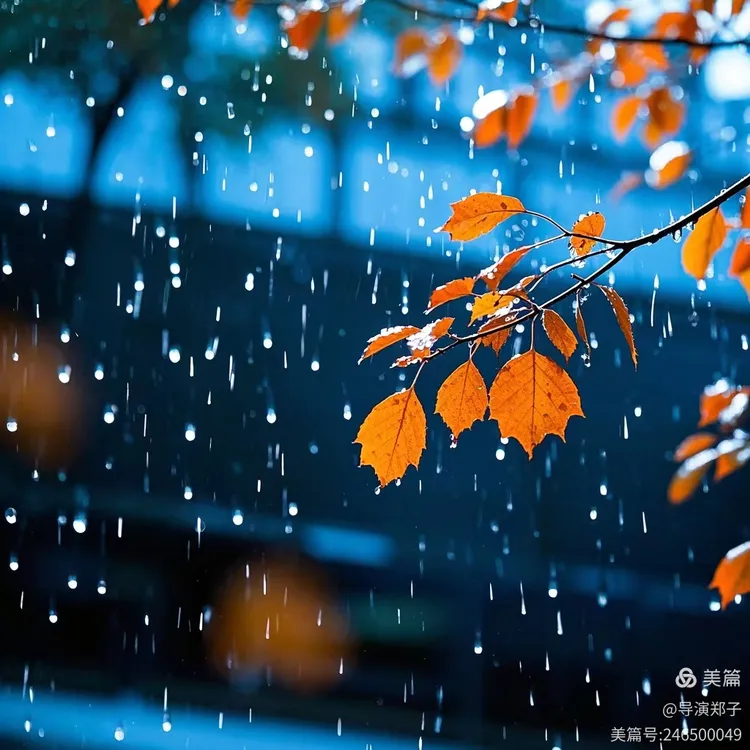 圖片7