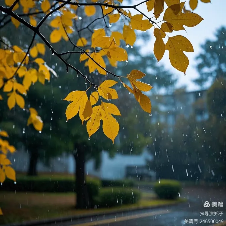 圖片9