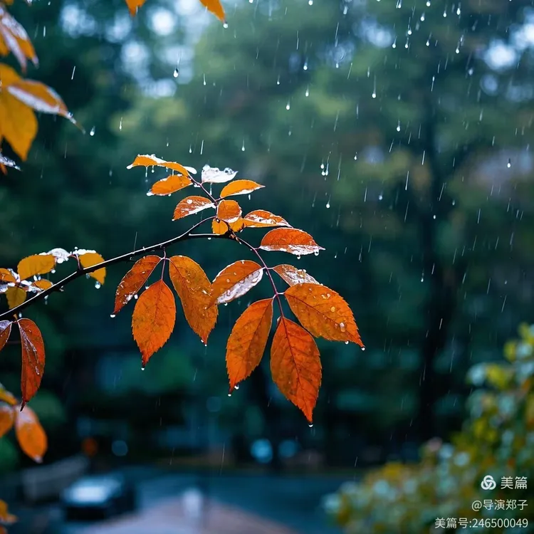 圖片11