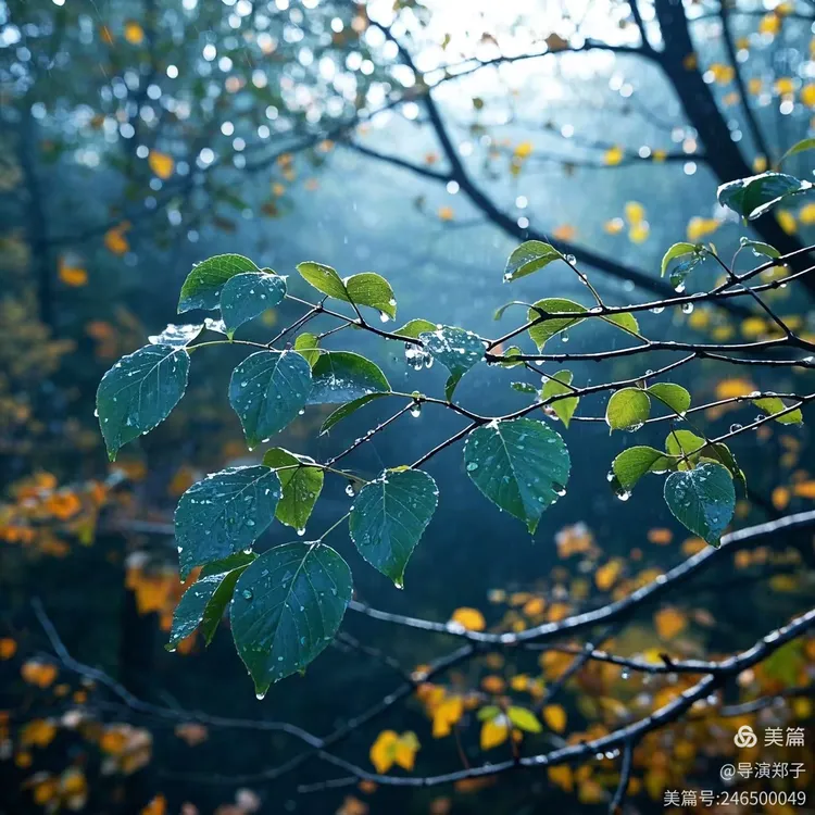圖片12