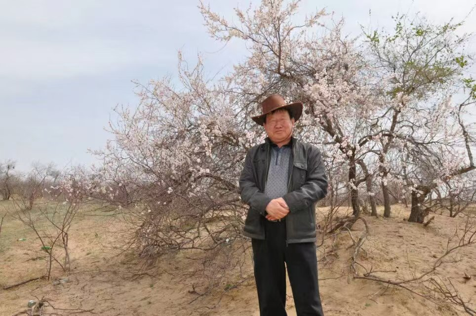 圖片8