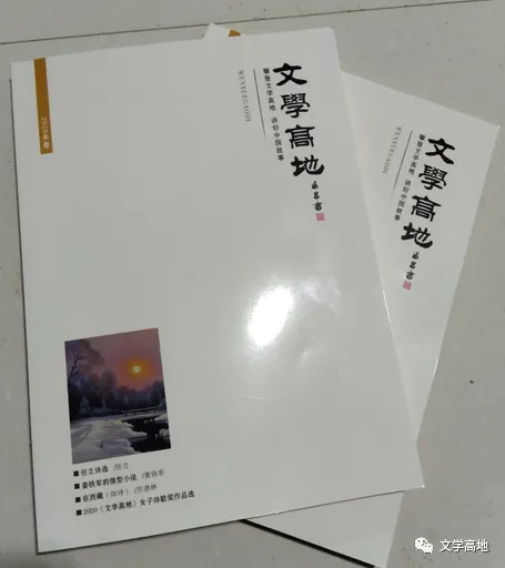 圖片3