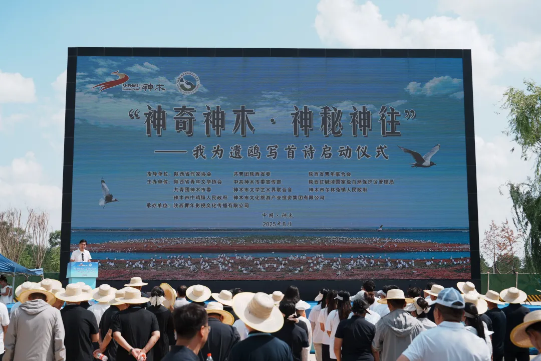 圖片6