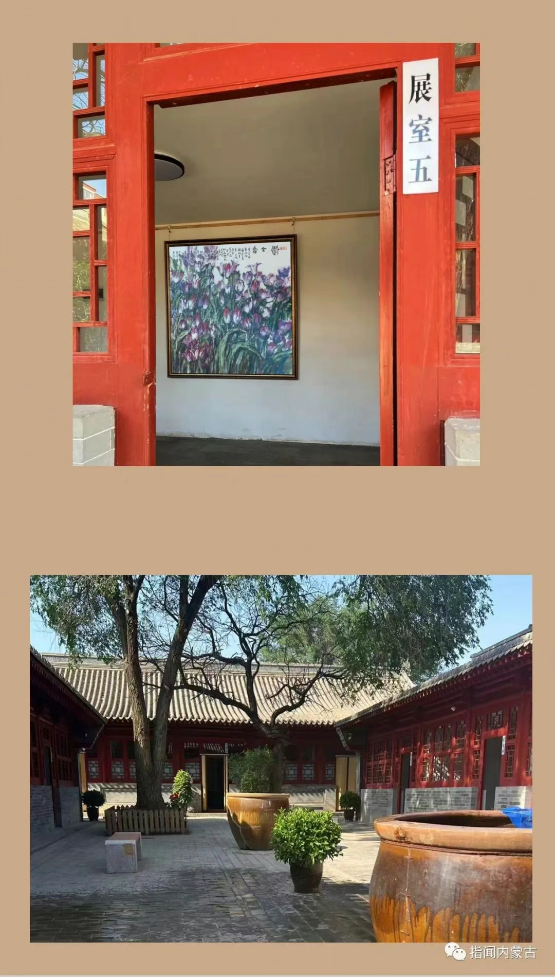 圖片5