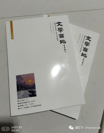 圖片5