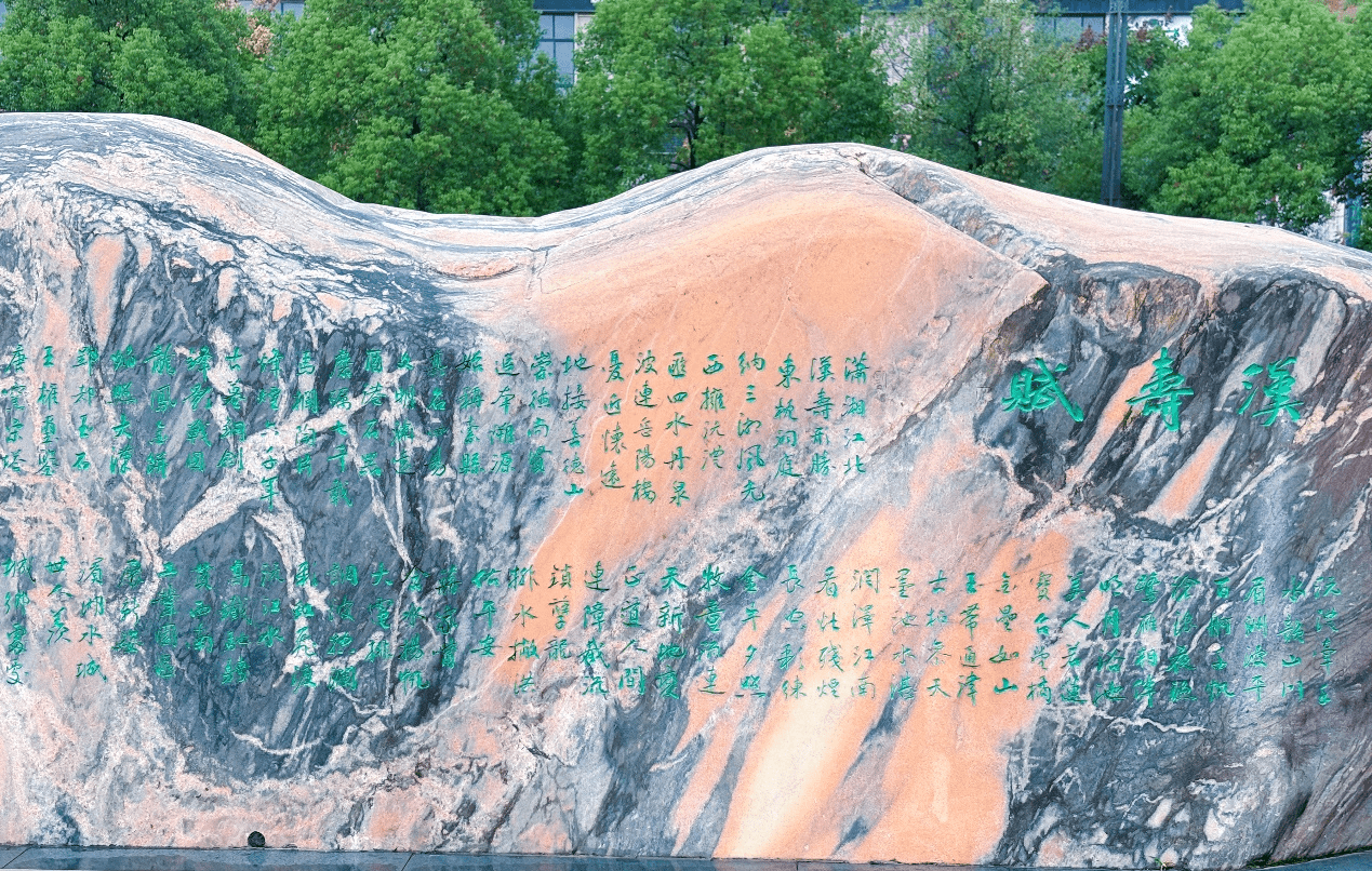 圖片5_new 圖片5_new